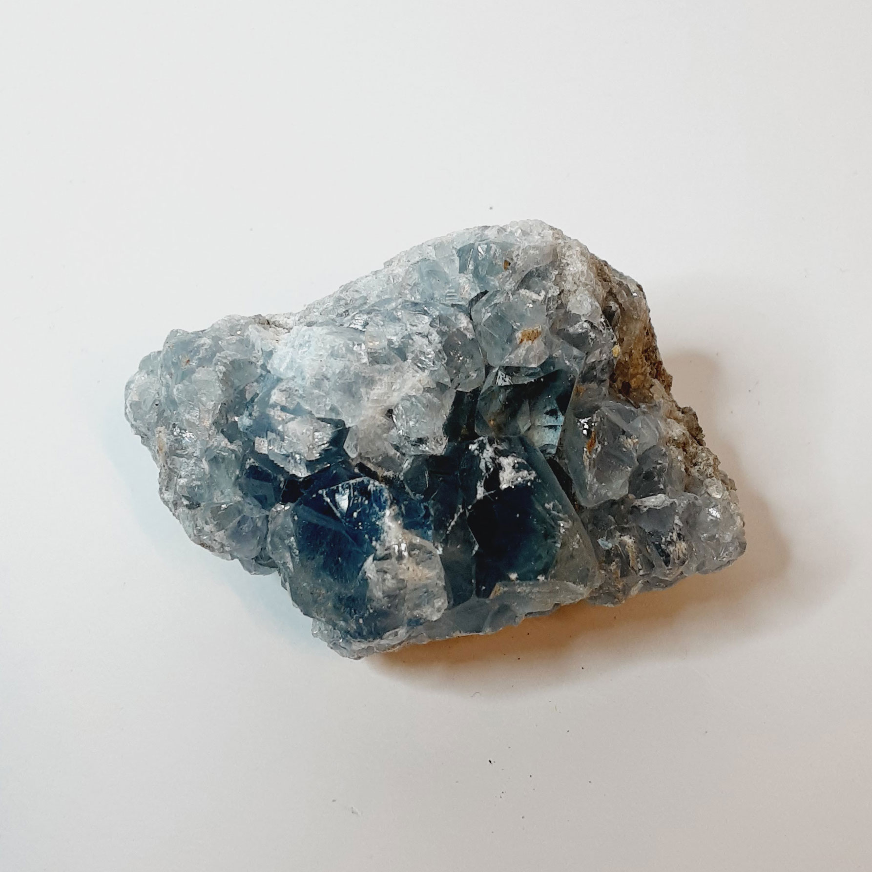 Specimen Pieces