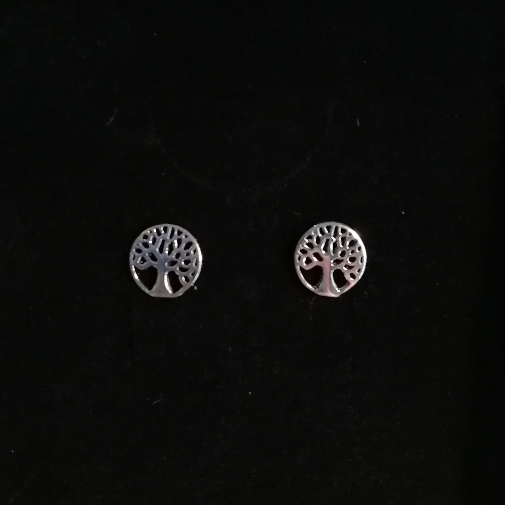 Silver Ear Studs
